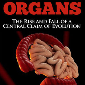 Useless Organs