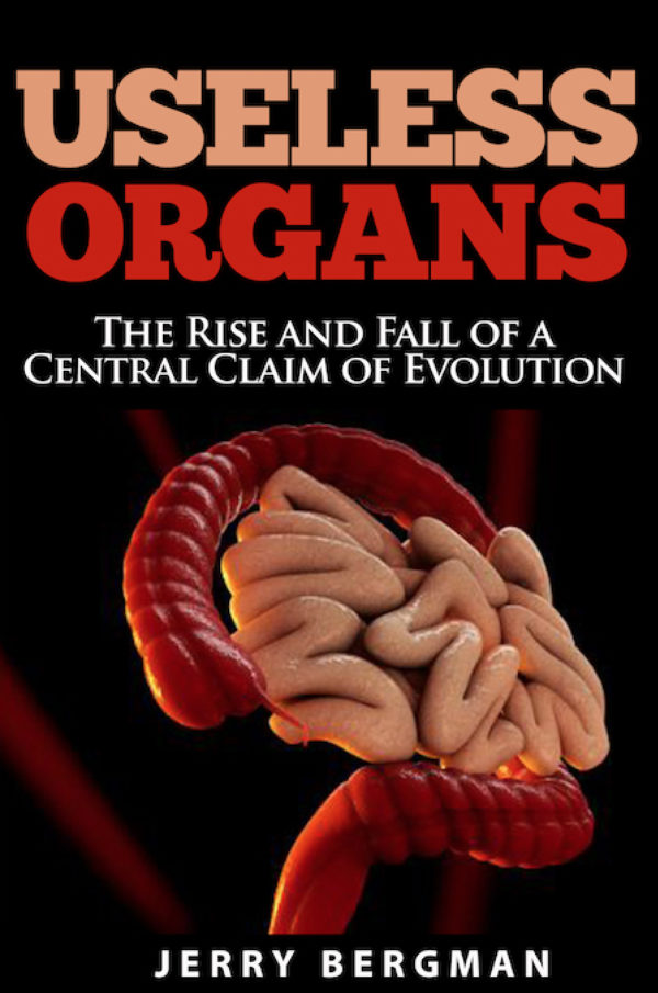 Useless Organs