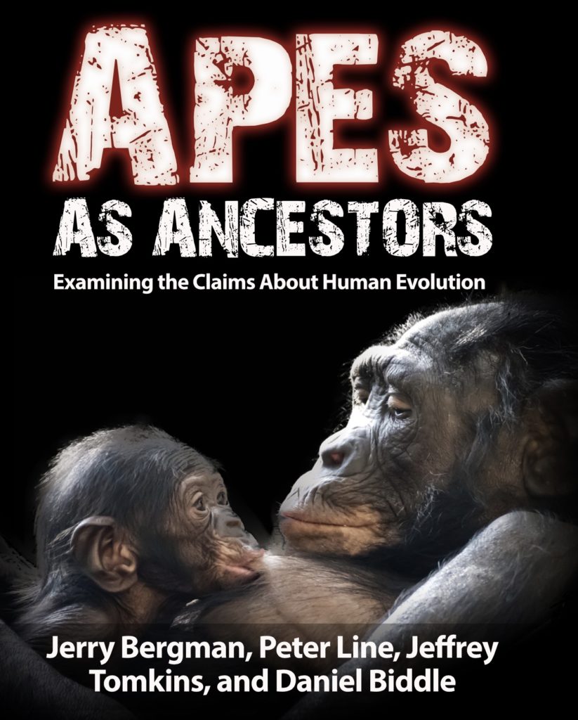 Apes as Ancestors